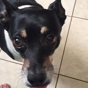 Meet your Posher, Tanya